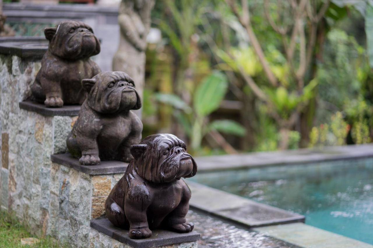 Ketut'S Place Cottage Ubud Zewnętrze zdjęcie